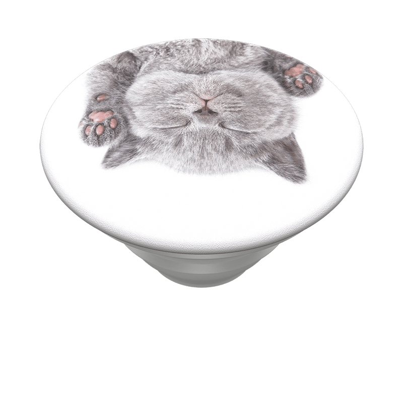 PopGrip Cat Nap