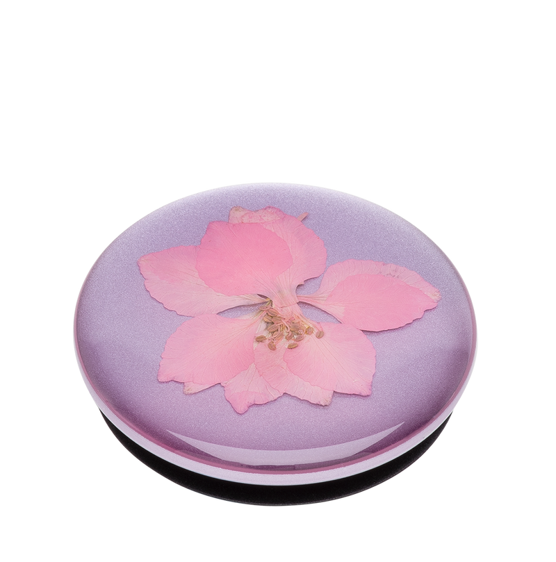 PopGrip Pressed Flower Delphinium Pink