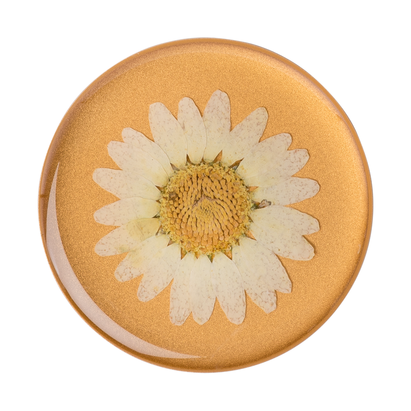 PopGrip Pressed Flower White Daisy