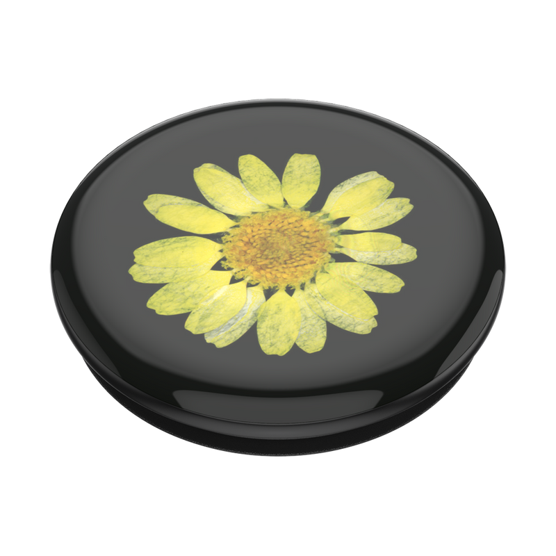 PopGrip Pressed Flower Yellow Daisy
